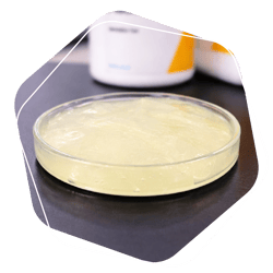 LP Isogen TH+ LP Isogen TH+